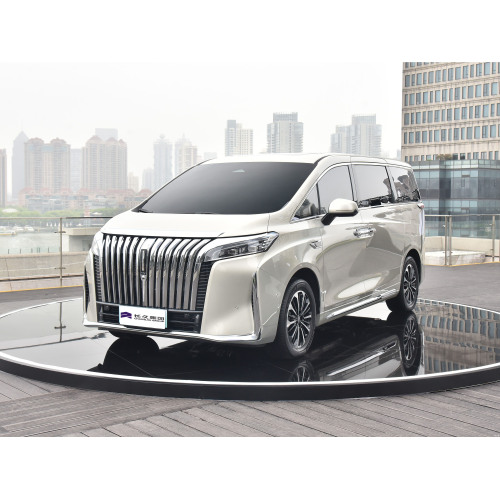 2024年Wey Gaoshan豪华MPV