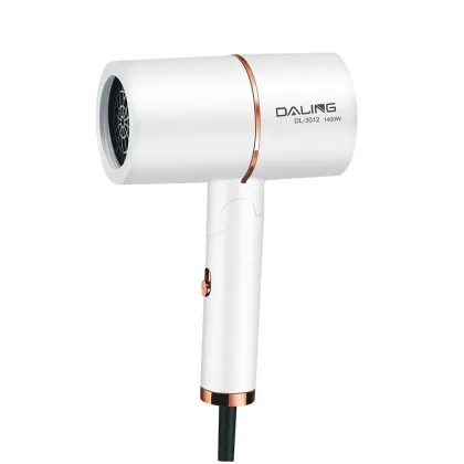 Pritech High Speed DC Motor Travel Size Hair Dryer with Cool Shot Function