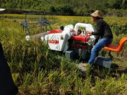 Rice Wheat Combine Harvester With Good Price