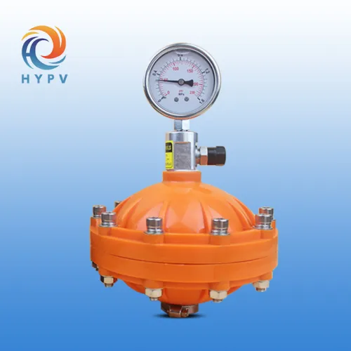Diaphragm Type Water Pump Pressure Regulator, High Quality Diaphragm