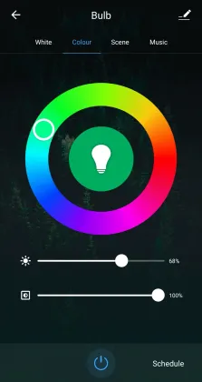 Smart WiFi RGBW bulb light