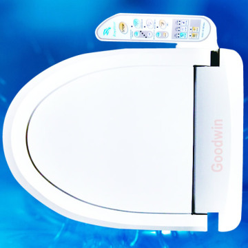 Toilet Bidet Gw-B101A