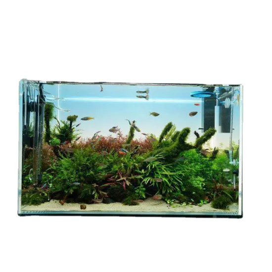 Customized Different Size Fish Tank Coral LED Aquarium with Freshwater Plant Lighting
