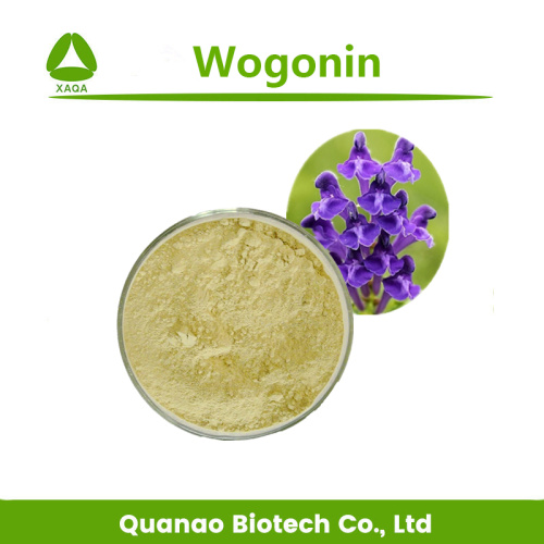Scutellaria Baicalensis Root Extract Wogonin 98% Powder