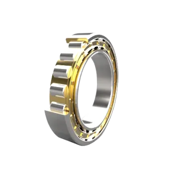 Cylindrial Roller Bearings N300 Series