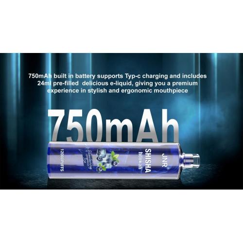 JNR Shisha Hookah 12000 Puffs Disposable Vape Juice Liquid