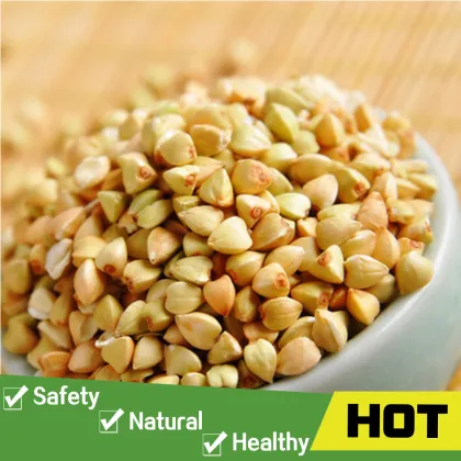 Raw sweet and bitter roasted buckwheat kernel