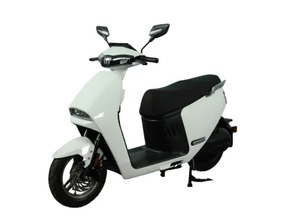 Electric Scooters ZP-Z10 2500W