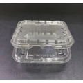 Clamshell Packaging Blister fruit Packaging