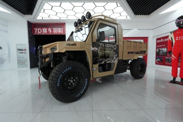 Side by side buggy for sale