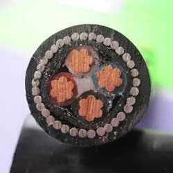 Electrical Cable Types Cu/XLPE/SWA/PVC Cable 4x70 mm2