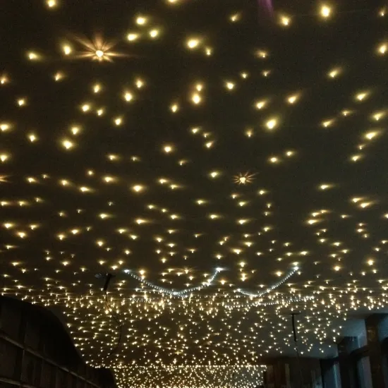 Fiber Optic Star Ceiling for Car Decoration