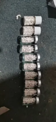 First Grade Carp Pituitary Gland for Fish Breeding