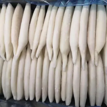 Frozen Dosidicus Gigas Squid Tubes U10