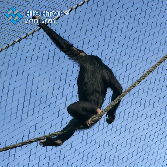 Flexible 304, 316, and 316L Stainless Steel Wire Rope Aviary and Zoo Mesh Netting: Durable and Versatile Solutions