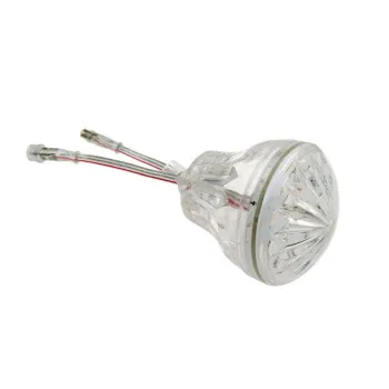 DC12V 24V SMD 5050 RGB Full Color LED Light for Holiday Decor