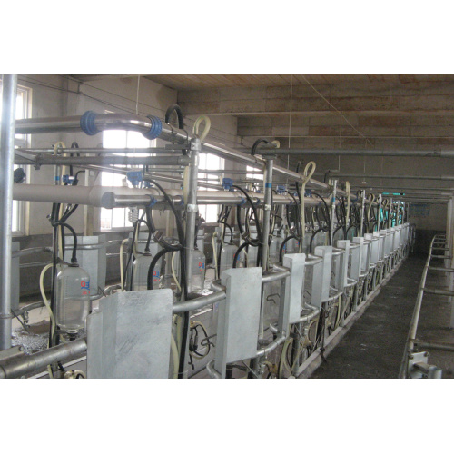 Dairy used middle set milking parlor