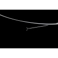 Single-Use Endoscopic Hose-type Biopsy Forceps 1.0mm