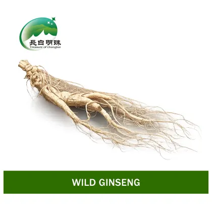 Premium Quality Raw Ginseng Root