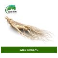 Сырой корень женьшеня высшего качества