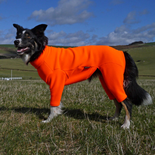 Albornoces secos impermeables cálidos de seguridad para perros