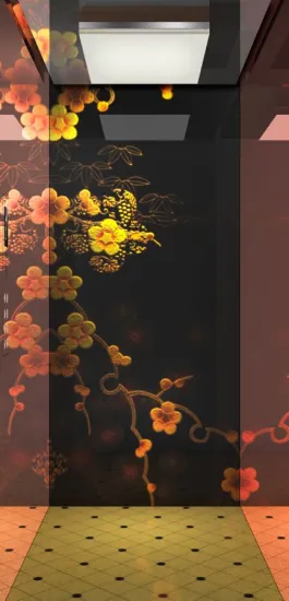 Confortable Home Elevator IFE brand small lift