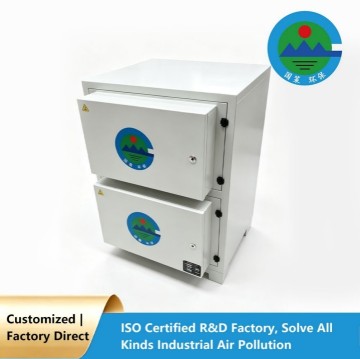 Commercial VOC & Oil Particle Dual Effect Purifier