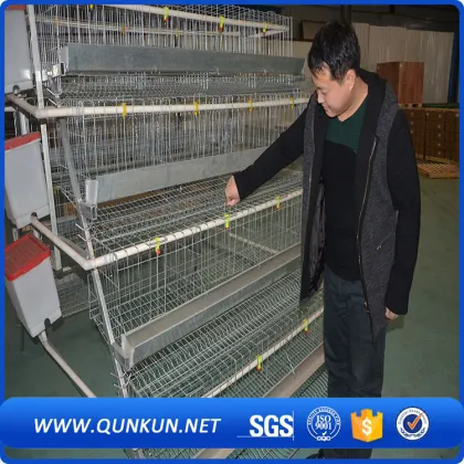 Type Frame Poultry Farm Video In North Carolina