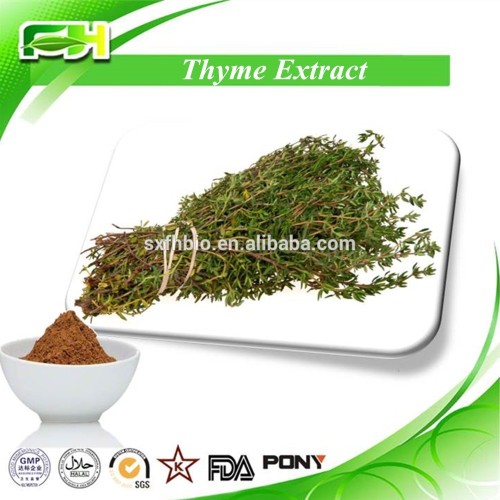 Thymus Mongolicus Extract Powder, Thymus Mongolicus P.e., Thymus