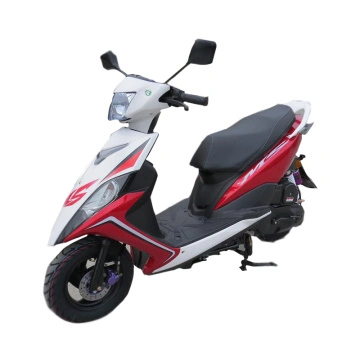 gas motorbikes for sale