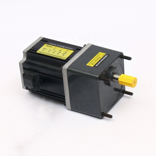 24V 300W Brushless DC Gear Motor with Controller