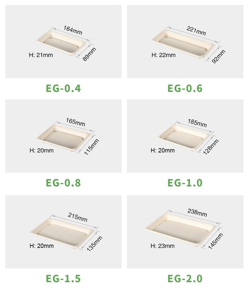 Bagasse Food Container