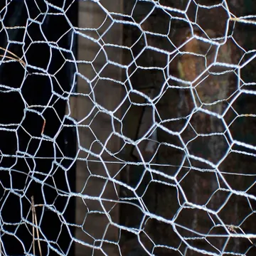 Galvanized Chicken Wire Mesh