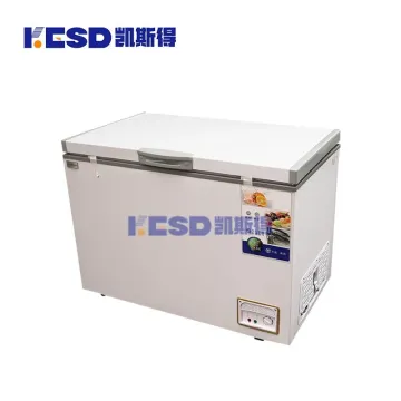 Convenience Reliable High Performance Horizontal Type Low Temperature Deep Freezer