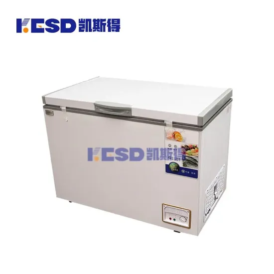 Convenience Reliable High Performance Horizontal Type Low Temperature Deep Freezer