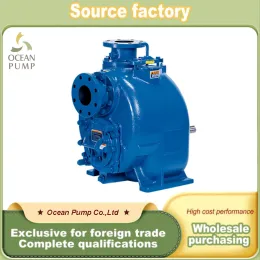 Efficient Heavy Duty Solids Pump for Material Transport