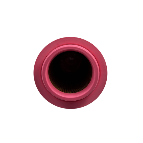 Паветраны фільтр паветранага кампрэсара C25710