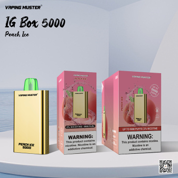 IG Box E-thuốc lá 5000 Puff