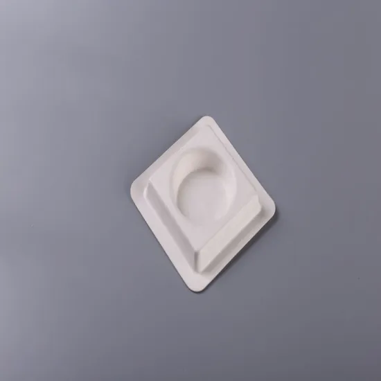 Biodegradable Sugarcane Bagasse Molded Pulp Bottle Tray