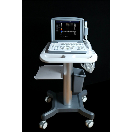Portable Color Doppler Ultrasound Scanner for Vascular