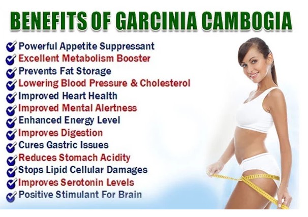 garcinia cambogia powder 4