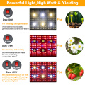 AGLEX 3000W COB LED Grow Light Board