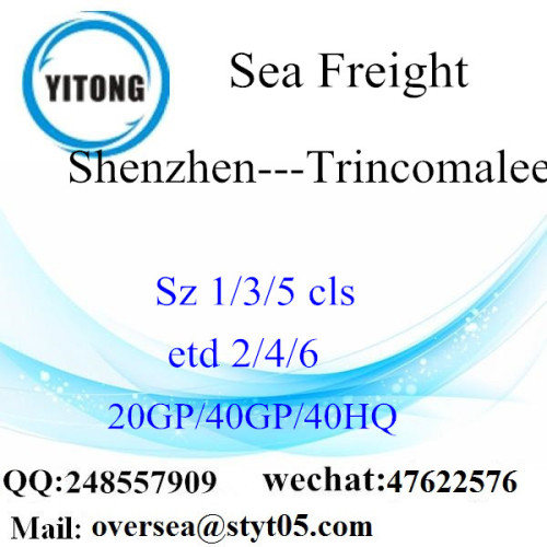 Shenzhen Port Zeevracht Verzending naar Trincomalee