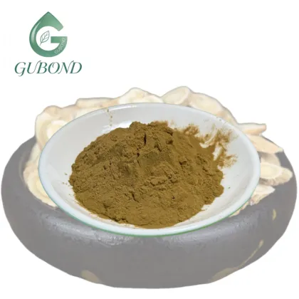 Astragalus Extract Powder for Dietary Supplements