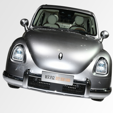 Great Wall Ora Ballet Cat: Chinese Affordable New Energy Electric Vehicle for Sale
