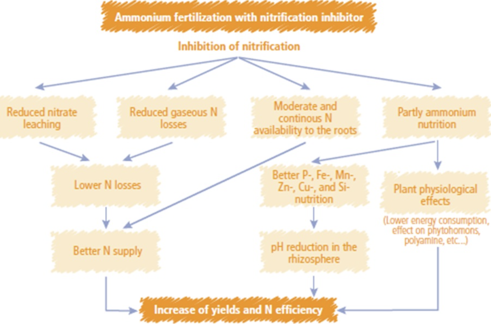 High Purity Nitrification Inhibitor