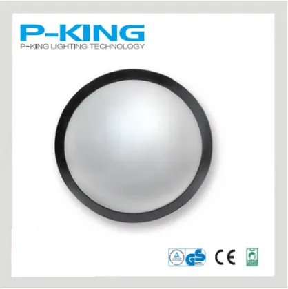 25W Ceiling LED Light IP66 LED Ceiling Light