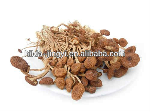 Dried Agrocybe Aegerita mushrooms