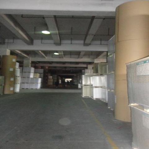Uncoated Woodfree Offset Printing Paper