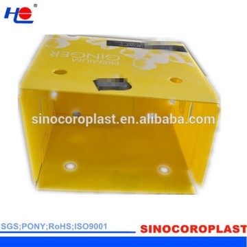 PP di plastica ondulata in PP Box di zenzero